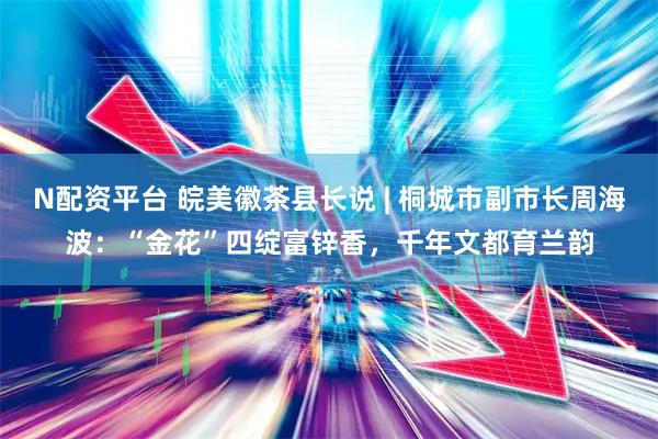 N配资平台 皖美徽茶县长说 | 桐城市副市长周海波：“金花”四绽富锌香，千年文都育兰韵