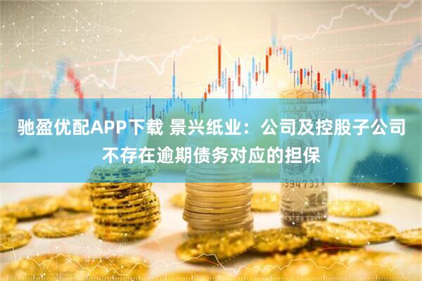 驰盈优配APP下载 景兴纸业：公司及控股子公司不存在逾期债务对应的担保