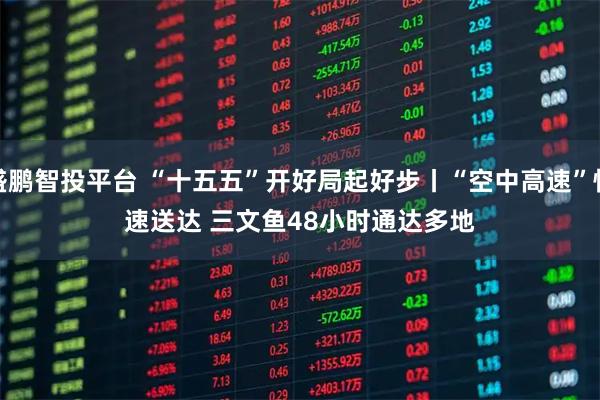 盛鹏智投平台 “十五五”开好局起好步丨“空中高速”快速送达 三文鱼48小时通达多地