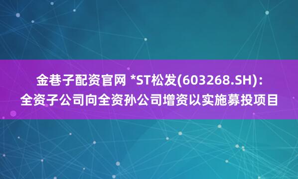 金巷子配资官网 *ST松发(603268.SH)：全资子公司向全资孙公司增资以实施募投项目